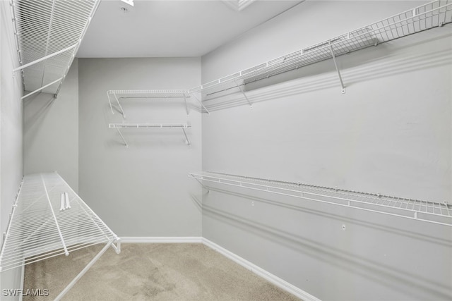 walk in closet featuring carpet