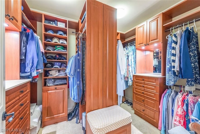 spacious closet featuring light colored carpet