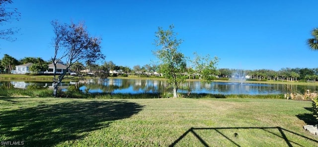 property view of water