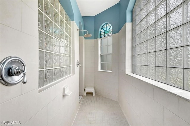 bathroom featuring walk in shower