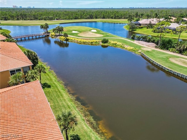 aerial view with a water view