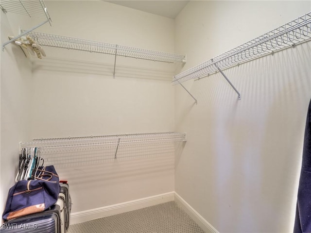 view of spacious closet