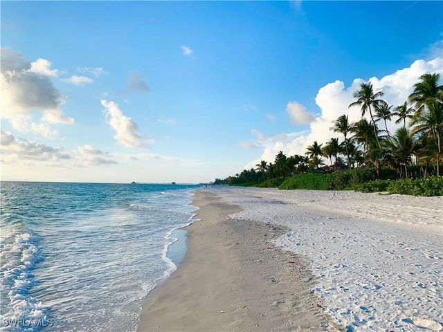 view of water feature with a beach view