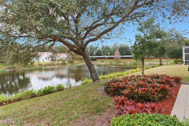 view of yard with a water view