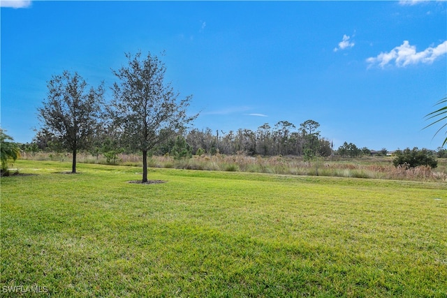 view of yard