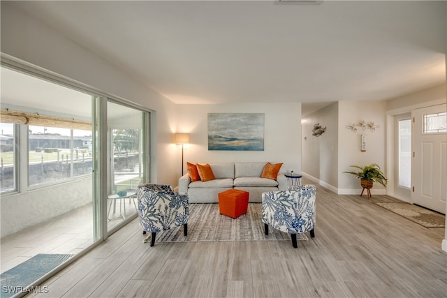 living room featuring light wood-type flooring and plenty of natural light