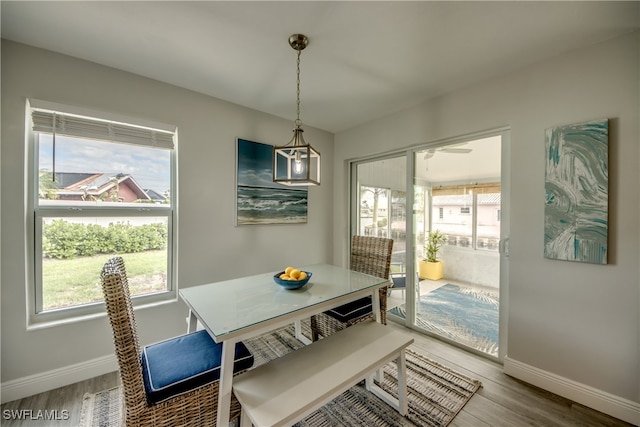 dining space featuring a healthy amount of sunlight and wood-type flooring