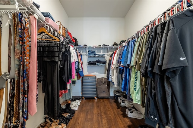 walk in closet featuring dark wood-type flooring