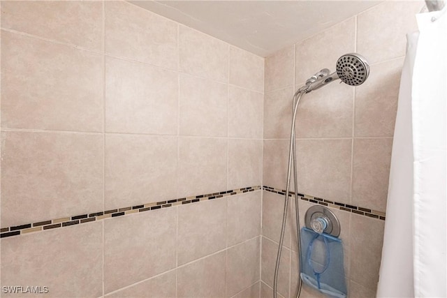 interior details featuring a shower with curtain