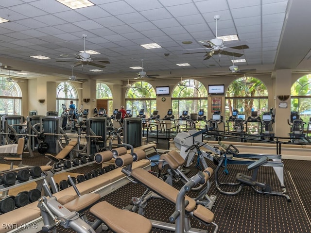 gym with a paneled ceiling, ceiling fan, and carpet