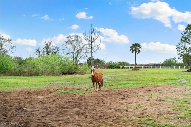 view of yard with a rural view