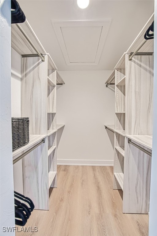 walk in closet featuring light hardwood / wood-style floors