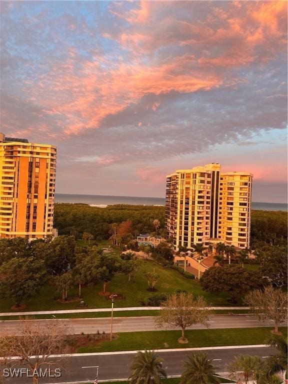 view of home's community