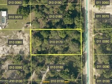 809 Truman Ave, Lehigh Acres FL, 33972 land for sale