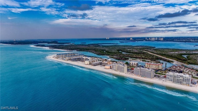 aerial view with a water view and a view of the beach