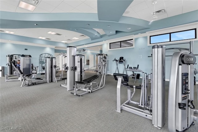 workout area with carpet flooring