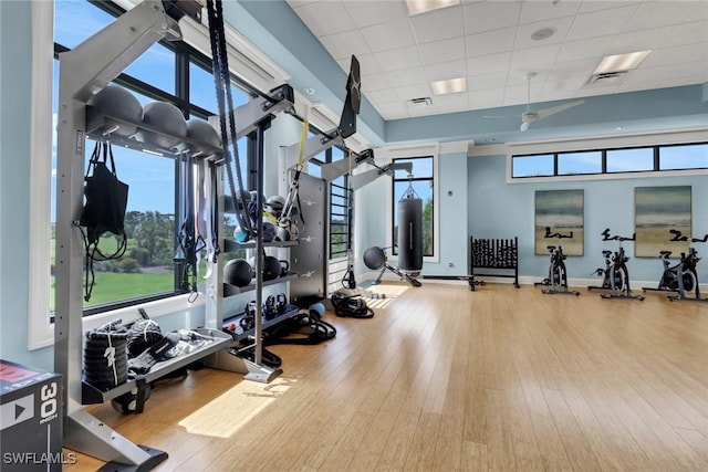 workout area featuring wood-type flooring and a drop ceiling