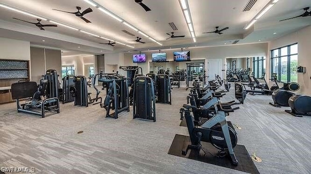 gym featuring light colored carpet and ceiling fan