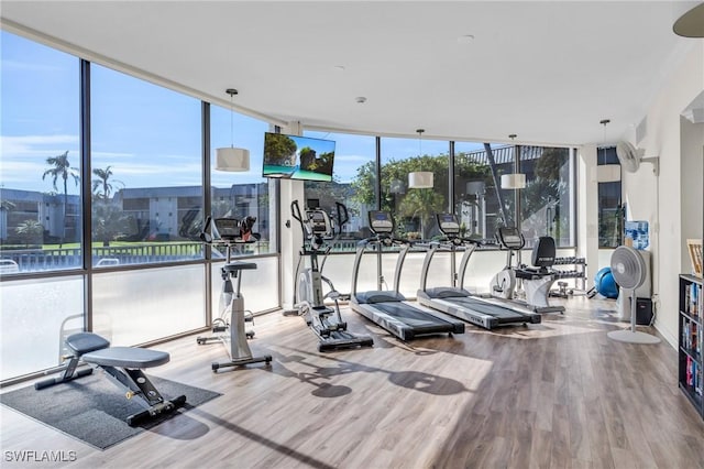 workout area featuring expansive windows, a wealth of natural light, and hardwood / wood-style flooring