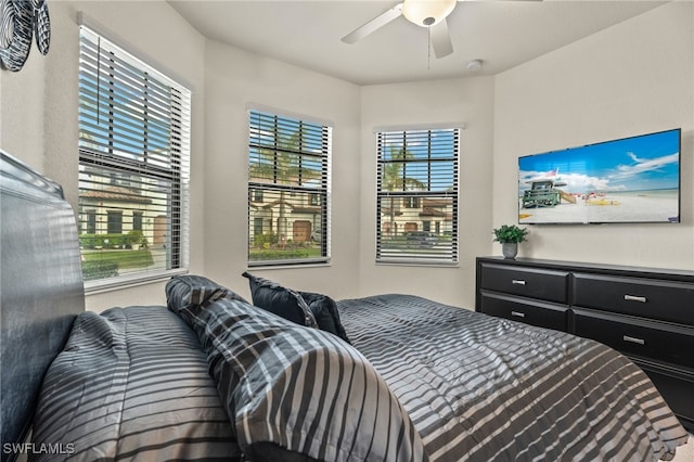 bedroom with ceiling fan and multiple windows