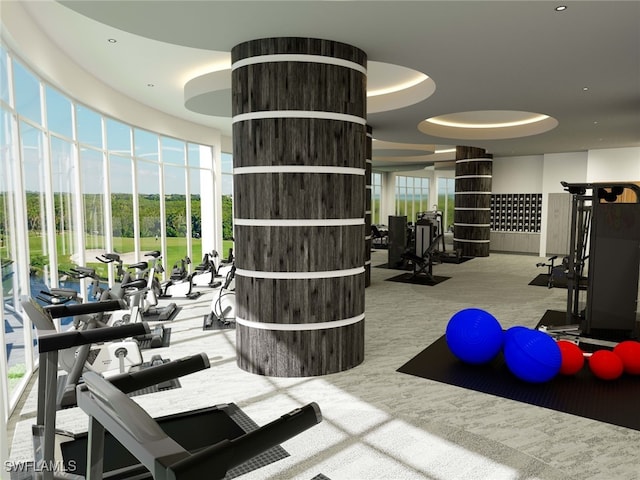 workout area featuring a raised ceiling and light colored carpet