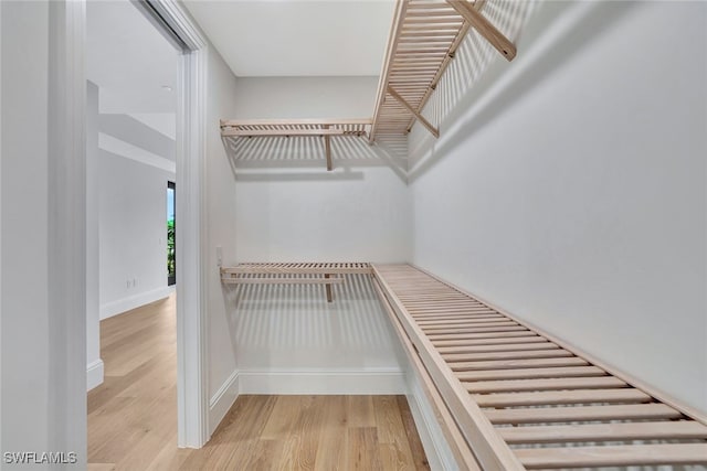 spacious closet featuring light hardwood / wood-style flooring