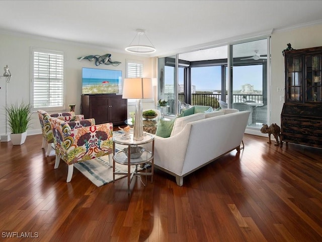 living room featuring dark wood-type flooring, ceiling fan, and ornamental molding