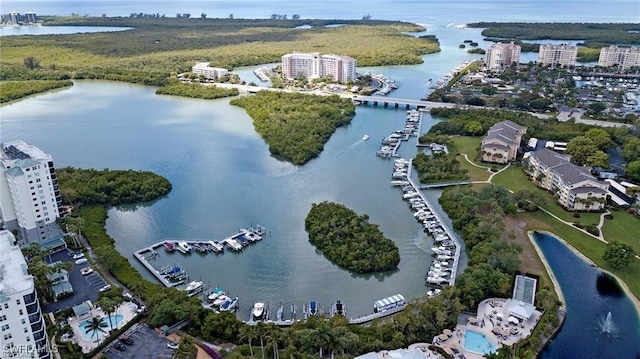 drone / aerial view with a water view