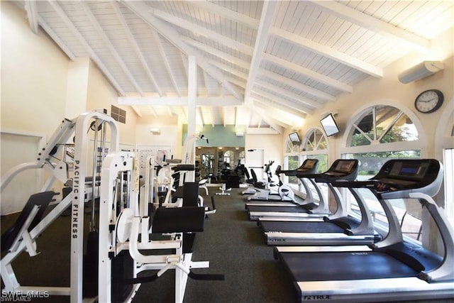 exercise room featuring high vaulted ceiling