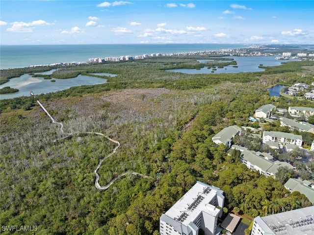 drone / aerial view with a water view