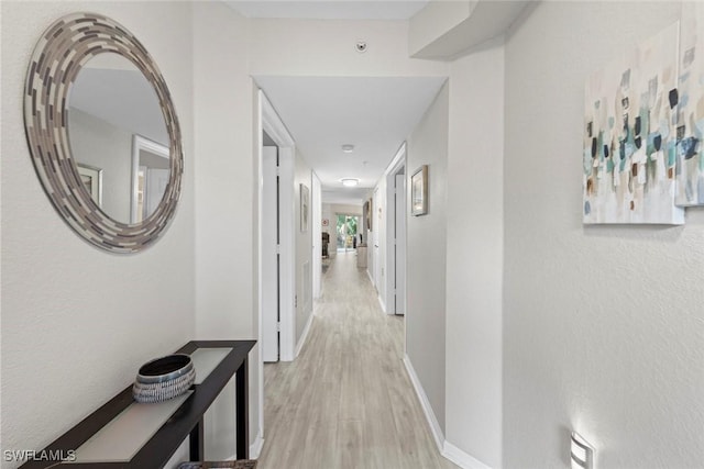 corridor with light wood-type flooring