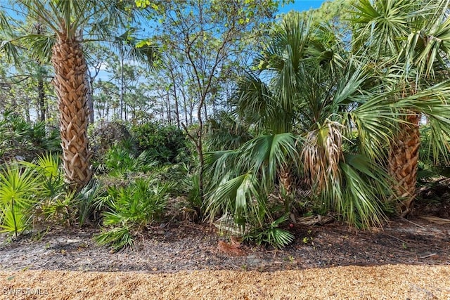 15495 Cedarwood Ln Unit 103, Naples, FL 34110 - view of nature