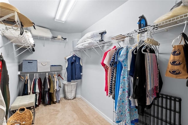 spacious closet with carpet floors