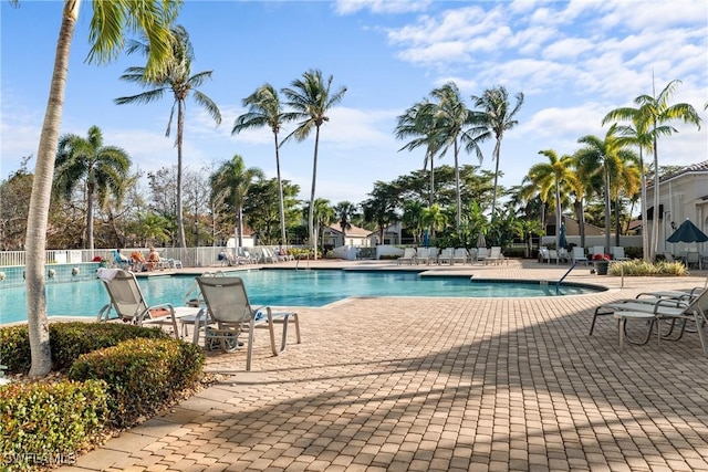 view of pool featuring a patio