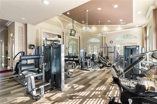 gym featuring a towering ceiling, ornamental molding, and hardwood / wood-style flooring