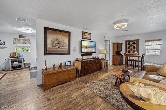 living room with a textured ceiling and light hardwood / wood-style flooring