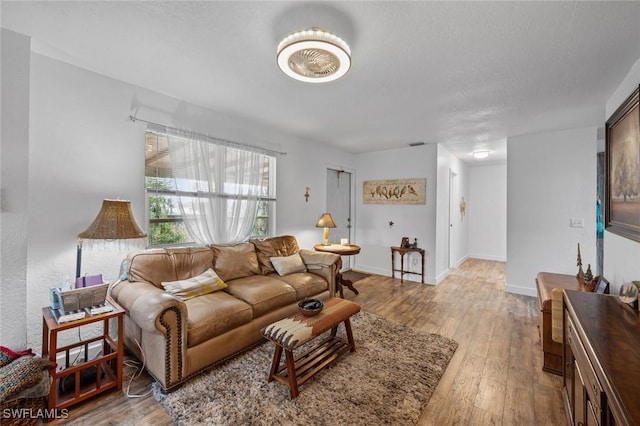 living room featuring light hardwood / wood-style flooring