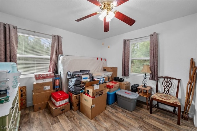 storage room with ceiling fan