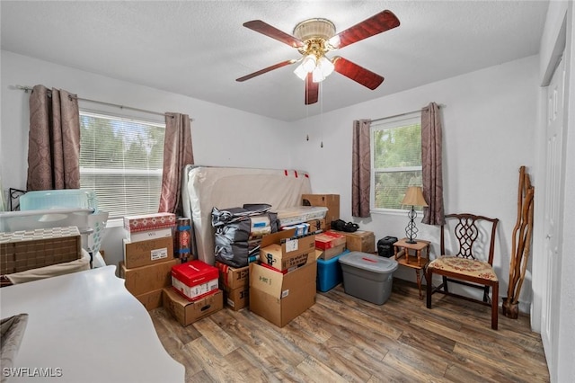 storage featuring ceiling fan