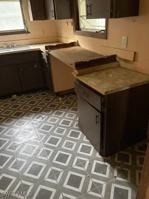 kitchen with sink and dark brown cabinetry