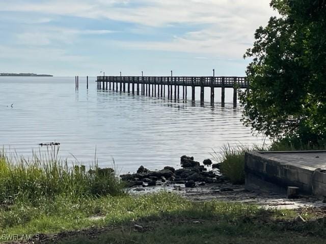 dock area with a water view