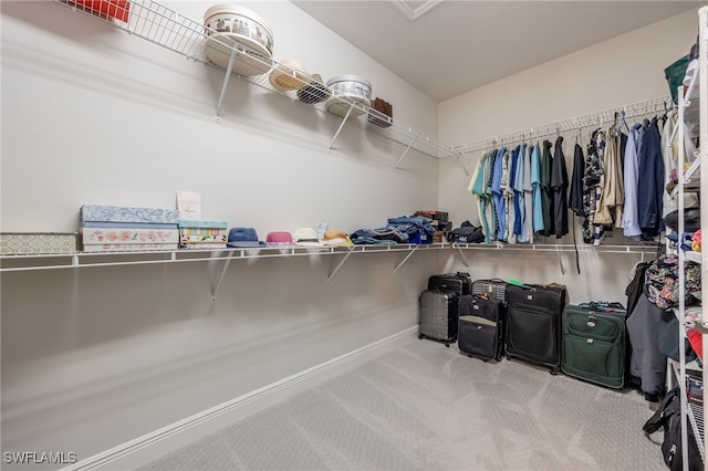 spacious closet with light colored carpet