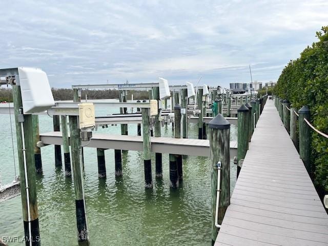 dock area with a water view