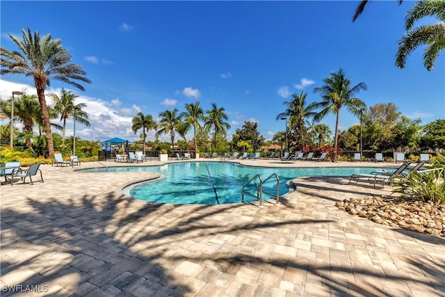 view of pool featuring a patio