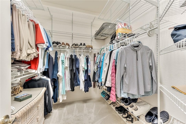 walk in closet featuring carpet floors