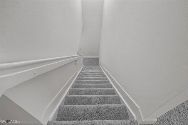 stairs featuring carpet