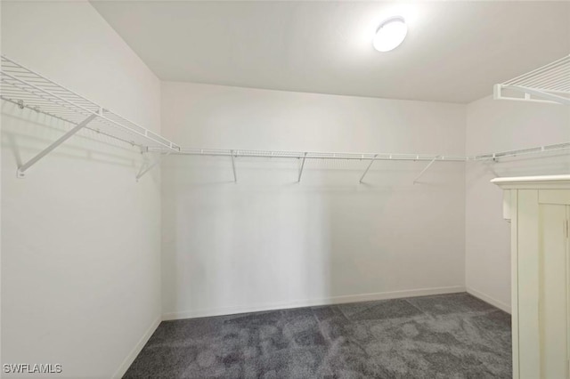 spacious closet with dark colored carpet