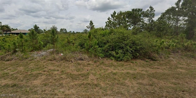 1141 Jean St E, Lehigh Acres FL, 33974 land for sale