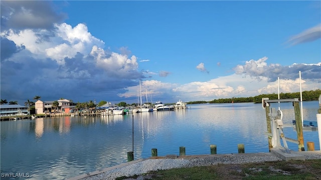 water view featuring a boat dock