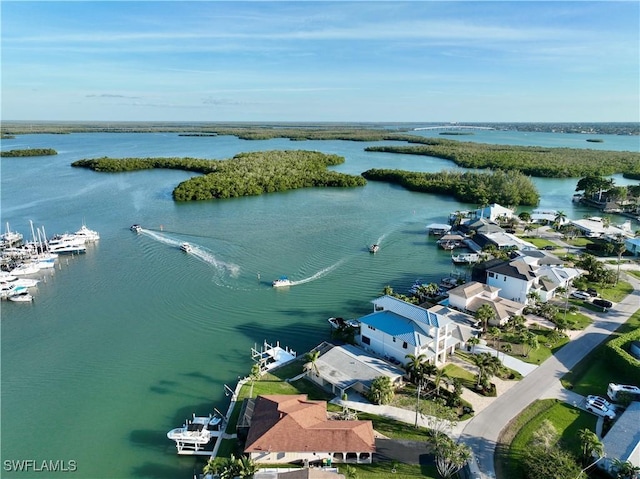 drone / aerial view with a water view